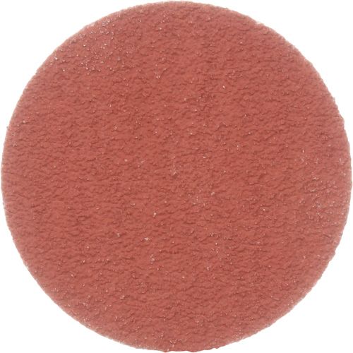Cubitron II Roloc Durable Edge Disc, 2" Dia., 80+ Grit, Ceramic PB Rental Co. Ltd.