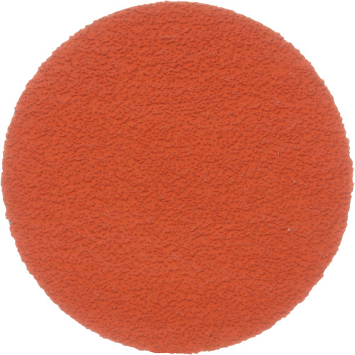 Cubitron II Roloc 987C Fibre Disc, 2" Dia., 80+ Grit, Ceramic PB Rental Co. Ltd.