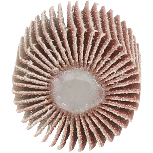 Flap Disc 747D, Aluminum Oxide/Ceramic, 80 Grit, 1" x 1" x 1/4" PB Rental Co. Ltd.