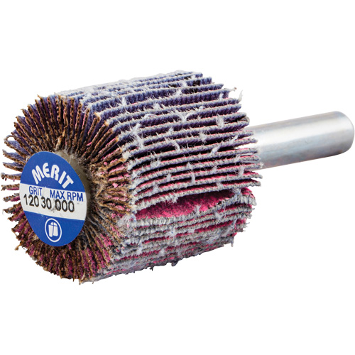 Shank Mounted Mini Flap Wheel, Ceramic Alumina, 120 Grit, 1" x 1" x 1/4" PB Rental Co. Ltd.