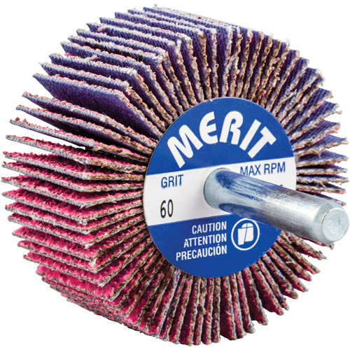 Mini-meule &agrave; lamelles mont&eacute;e sur tige, C&eacute;ramique d'alumine, Grain 60, 2" x 1" x 1/4" PB Rental Co. Ltd.