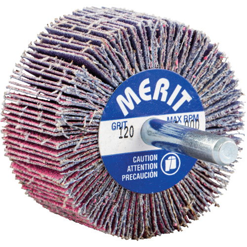 Mini-meule &agrave; lamelles mont&eacute;e sur tige, C&eacute;ramique d'alumine, Grain 120, 2" x 1" x 1/4" PB Rental Co. Ltd.