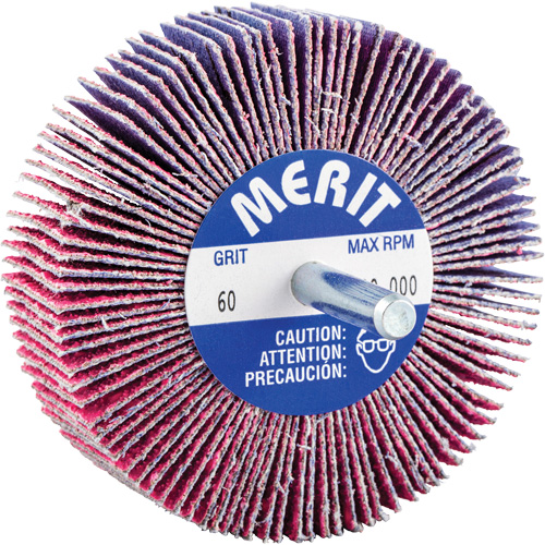 Mini-meule &agrave; lamelles mont&eacute;e sur tige, C&eacute;ramique d'alumine, Grain 60, 3" x 1" x 1/4" PB Rental Co. Ltd.