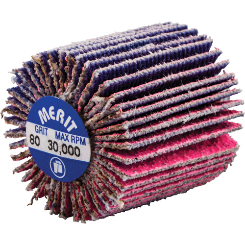 Mini-meule &agrave; lamelles filet&eacute;es, C&eacute;ramique d'alumine, Grain 80, 1" x 1" x 1/4"-20 PB Rental Co. Ltd.
