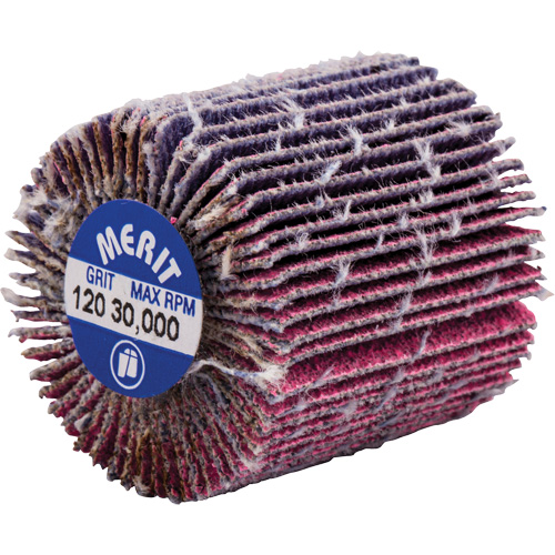 Mini-meule &agrave; lamelles filet&eacute;es, C&eacute;ramique d'alumine, Grain 120, 1" x 1" x 1/4"-20 PB Rental Co. Ltd.