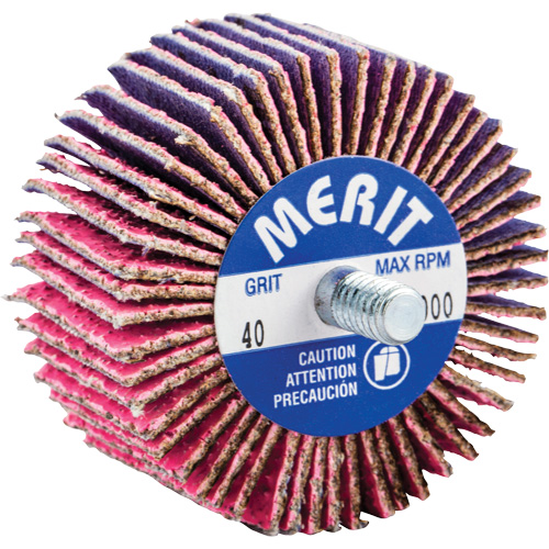 Threaded Mini Flap Wheel, Ceramic Alumina, 40 Grit, 2" x 1" x 1/4"-20 PB Rental Co. Ltd.