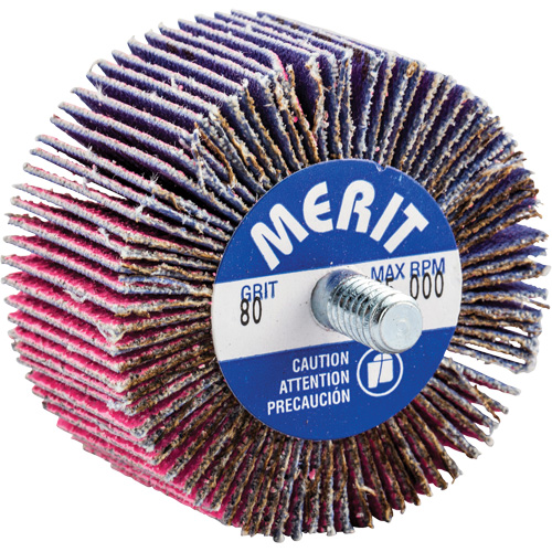 Threaded Mini Flap Wheel, Ceramic Alumina, 80 Grit, 2" x 1" x 1/4"-20 PB Rental Co. Ltd.