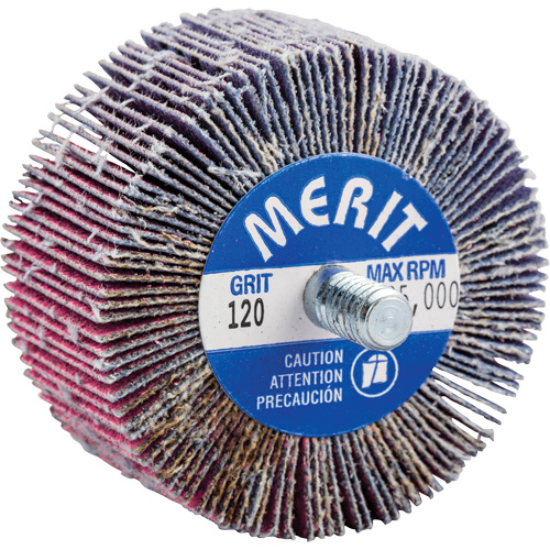 Threaded Mini Flap Wheel, Ceramic Alumina, 120 Grit, 2" x 1" x 1/4"-20 PB Rental Co. Ltd.