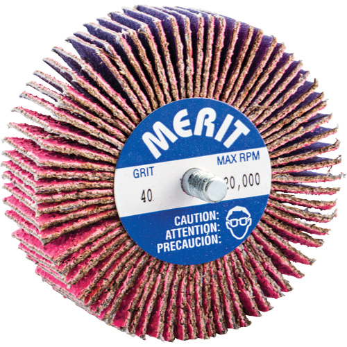 Threaded Mini Flap Wheel, Ceramic Alumina, 40 Grit, 3" x 1" x 1/4"-20 PB Rental Co. Ltd.