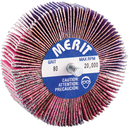 Mini-meule &agrave; lamelles filet&eacute;es, C&eacute;ramique d'alumine, Grain 80, 3" x 1" x 1/4"-20 PB Rental Co. Ltd.