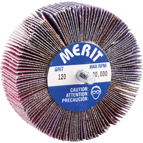 Mini-meule &agrave; lamelles filet&eacute;es, C&eacute;ramique d'alumine, Grain 120, 3" x 1" x 1/4"-20 PB Rental Co. Ltd.