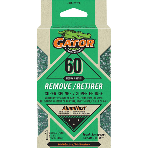 &eacute;ponge abrasive de premi&egrave;re qualit&eacute; PB Rental Co. Ltd.