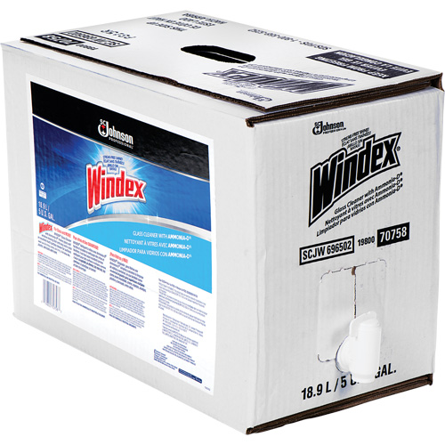 Nettoyant pour vitres Windex avec Ammoniac-D, 5 gal., Sac PB Rental Co. Ltd.