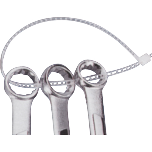 Ladder Ties, 7" Long, 40 lbs. Tensile Strength, Natural PB Rental Co. Ltd.