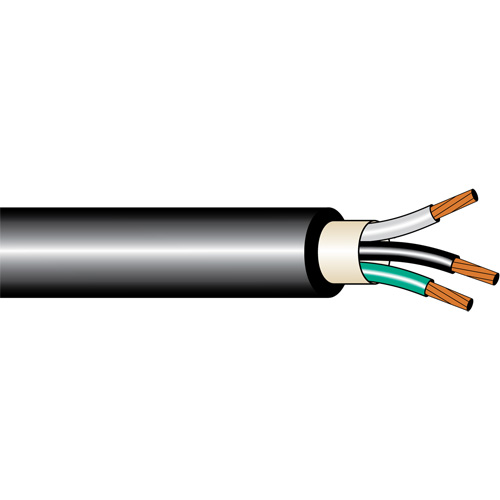 CABLE CUIVRE RENFORCE AC90 12/2 AWG 600V PB Rental Co. Ltd.