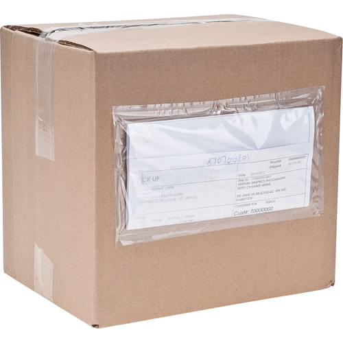 Pochettes pour bordereau d'exp&eacute;dition, 3-3/4" lo x 7" la, Style Informatique PB Rental Co. Ltd.