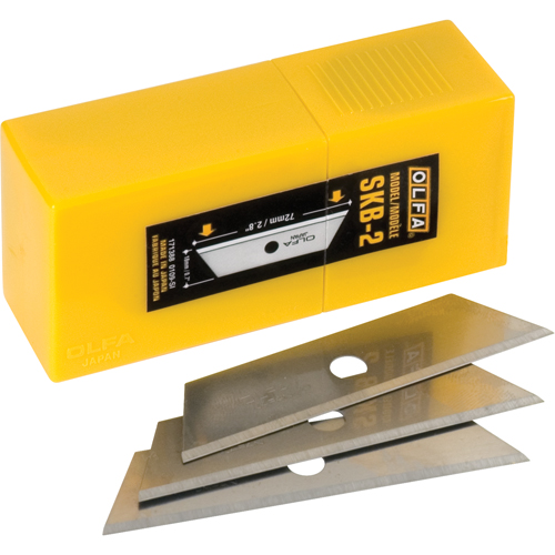 Dual Edge Replacement Safety Blades, Single Style PB Rental Co. Ltd.