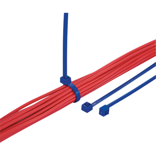 Attaches d&eacute;tectables pour c&acirc;bles, 7-9/10" lo, R&eacute;sistance &agrave; la traction 50 lb PB Rental Co. Ltd.