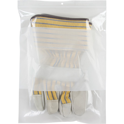 Sacs en poly avec espace inscriptible blanc, Refermable, 12" x 9", 2 mils PB Rental Co. Ltd.