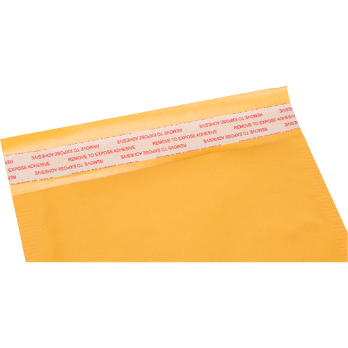 Enveloppes postales coussin&eacute;es, Kraft, 6" la x 10" lo PB Rental Co. Ltd.