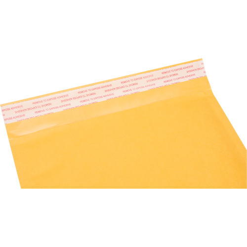 Enveloppes postales coussin&eacute;es, Kraft, 8-1/2" la x 14-1/4" lo PB Rental Co. Ltd.