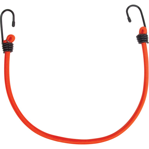 Sangles d'arrimage &eacute;lastiques, 18" PB Rental Co. Ltd.