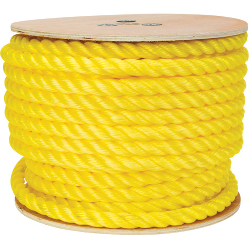 Corde jaune tress&eacute;e, Polypropyl&egrave;ne, 144' PB Rental Co. Ltd.