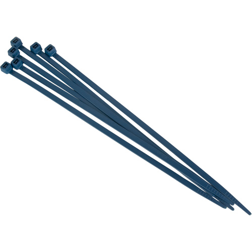 Attache-c&acirc;bles d&eacute;tectables par d&eacute;tecteur de m&eacute;taux, 15" lo, R&eacute;sistance &agrave; la traction 120 lb PB Rental Co. Ltd.