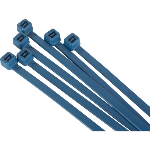 Attache-c&acirc;bles d&eacute;tectables par d&eacute;tecteur de m&eacute;taux, 15" lo, R&eacute;sistance &agrave; la traction 120 lb PB Rental Co. Ltd.