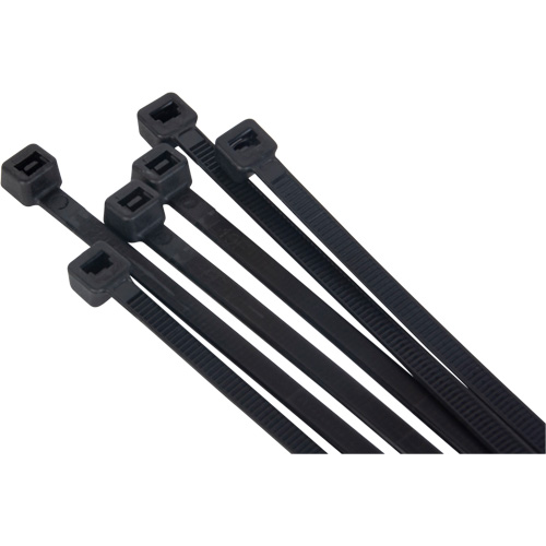 Attache pour c&acirc;bles, Longueur 8" PB Rental Co. Ltd.
