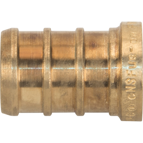 Capuchon de tuyau sans plomb, Tuyau, 1/2" dia., Laiton PB Rental Co. Ltd.
