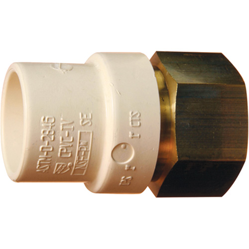 Adaptateur de tuyau filet&eacute;, Noeud x FPT, 1-1/4" dia., Laiton/PVC-C PB Rental Co. Ltd.