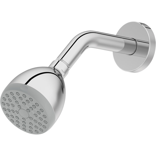 One-Function Showerhead PB Rental Co. Ltd.