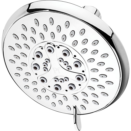 Multi-Function Showerhead PB Rental Co. Ltd.