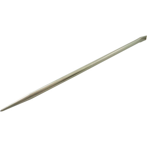 Barre-levier nickel&eacute;e, 30" PB Rental Co. Ltd.