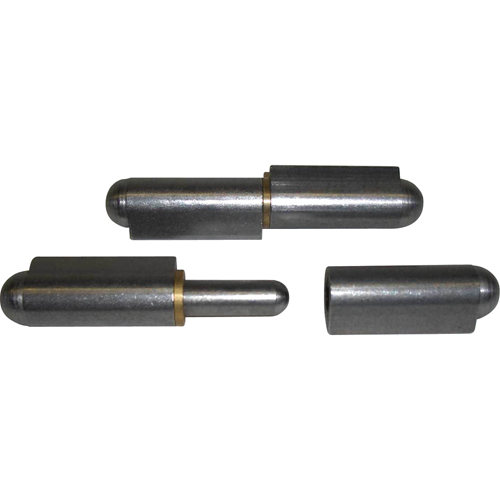 Charni&egrave;re &agrave; souder avec rondelles, 5/16" dia. x 3-3/16" lo, Aluminium a/goupille fixe en acier inoxydable PB Rental Co. Ltd.