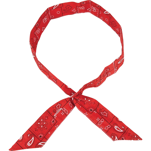ALLEGRO INDUSTRIES Cool Offs Bandana, Red PB Rental Co. Ltd.