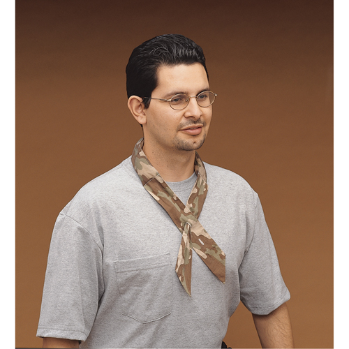 ALLEGRO INDUSTRIES Cool Offs Bandana, Multi-Colour PB Rental Co. Ltd.