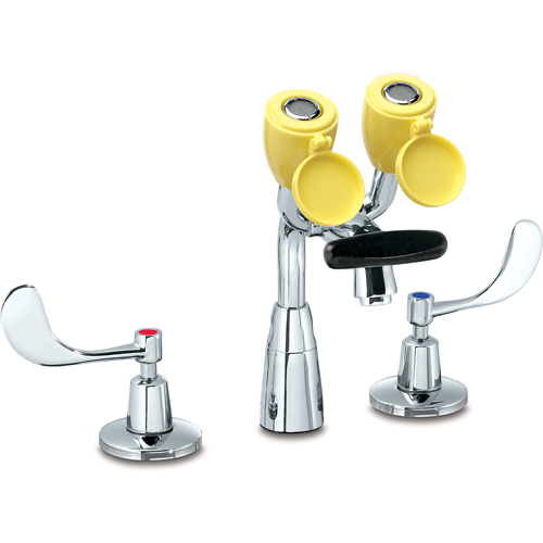 Faucet & Eyewash Station, Sink Mount Installation PB Rental Co. Ltd.