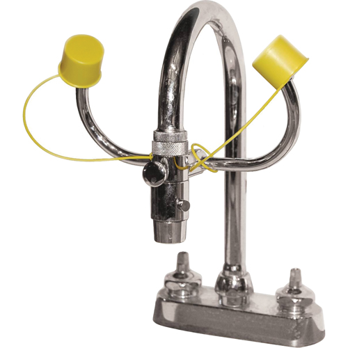 Eyewash Station, Sink Mount Installation PB Rental Co. Ltd.