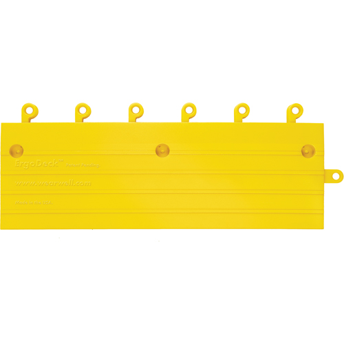 ErgoDeck&reg; Ramp Accessory PB Rental Co. Ltd.