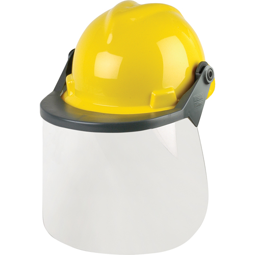 Head & Face Protection Systems PB Rental Co. Ltd.