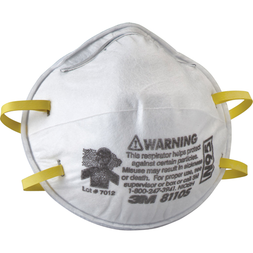 8110S Particulate Respirators, N95, NIOSH Certified, Small PB Rental Co. Ltd.