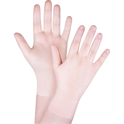 Gants jetables, Petit, Vinyle, 4 mils, Sans poudre, Blanc PB Rental Co. Ltd.