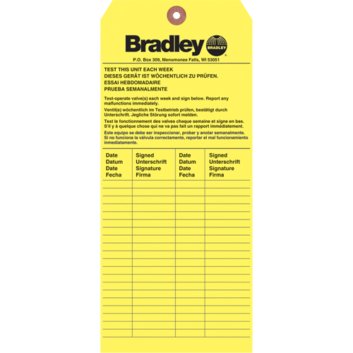 Inspection Tag, Paper, 3-6/8" W x 5-7/8" H, English PB Rental Co. Ltd.