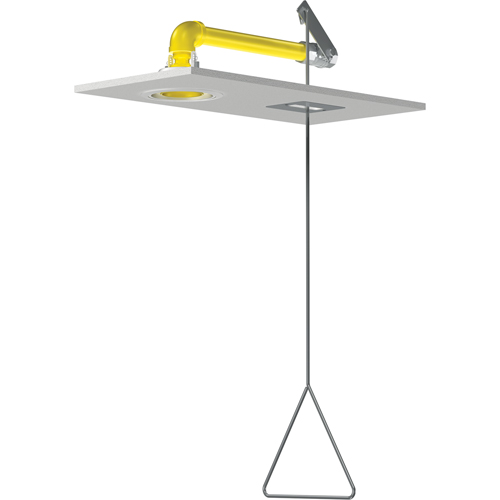 Horizontal Supply Emergency Shower Stations, Ceiling-Mount PB Rental Co. Ltd.