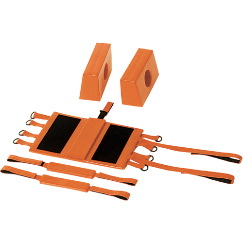 Head Immobilizers PB Rental Co. Ltd.
