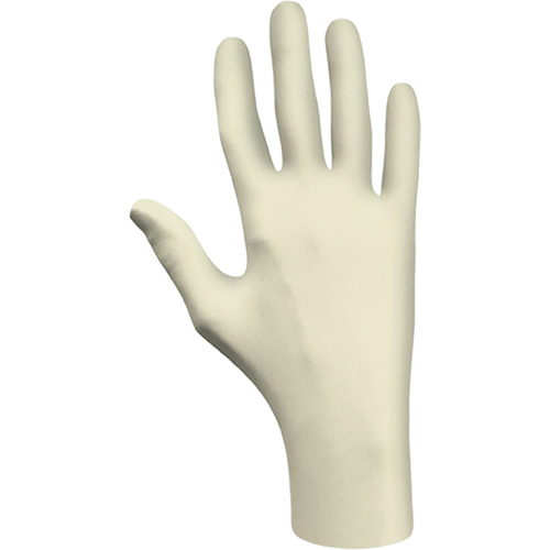 Disposable Gloves, Large, Latex, 3-mil, Powder-Free, Natural, Class 2 PB Rental Co. Ltd.