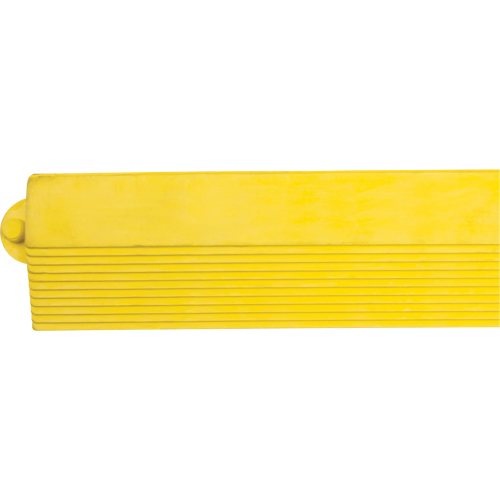 Border Ramp for Matting PB Rental Co. Ltd.