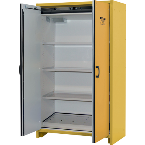 30-Minute EN Safety Storage Cabinet, 45 gal., 2 Door, 45.83" W x 76.65" H x 24.21" D PB Rental Co. Ltd.